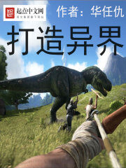 《打造异界》作者:华任仇