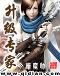 《升级专家》作者:暗魔师