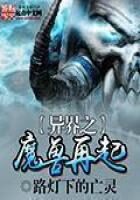 《异界之魔兽再起》作者:路灯下的亡灵
