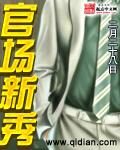 《官场新秀》作者:二月二十八日