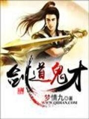《剑道鬼才》作者:梦情九