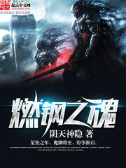 《燃钢之魂》作者:阴天神隐