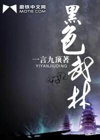 《黑色武林》作者:一言九顶