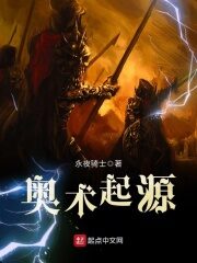 《奥术起源》作者:永夜骑士