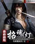 《我的阴阳招魂灯》作者:乌啼霜满天