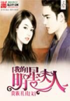 《我的明星夫人》作者:贵族丑丑
