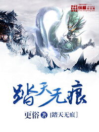 《踏天无痕》作者:更俗