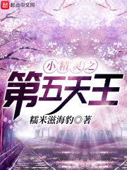 《小精灵之第五天王》作者:糯米滋海豹
