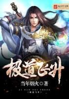 《极道飞升》作者:当年烟火