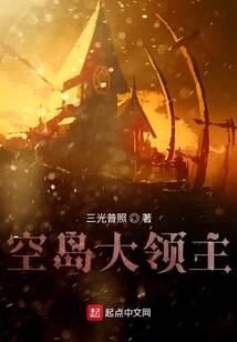 《空岛大领主》作者:三光普照