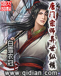 《唐门宗师异世纵横》作者:白雪衣冠