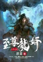 《至尊龙婿》作者：辰皇