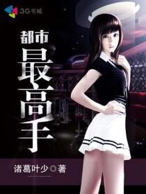 《都市最高手》作者:诸葛叶少