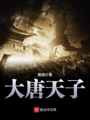 《大唐天子》作者:殷扬
