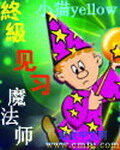 《终极见习魔法师》作者:小猫yellow