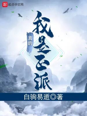 《我真的是正派(从山寨NPC到大BOSS)》作者:白驹易逝