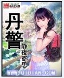 《丹警》作者:静夜寄思