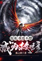 《混沌：我也不想成为救世主》作者：陈之侠