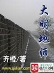 《大明地师》作者:齐橙
