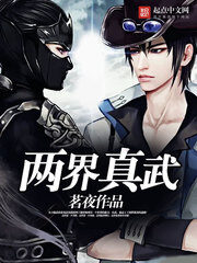 《两界真武》作者:茗夜