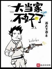 《大当家不好了》作者:雨天下雨