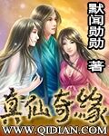 《真仙奇缘》作者:默闻勋勋