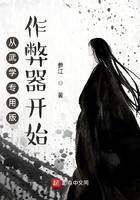 《从武学专用版作弊器开始》作者:参江