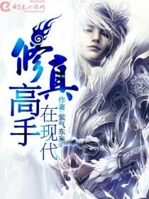 《修真高手在现代》作者:紫气东来