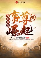 《战棋世界:帝尊的崛起》作者:微雨的黄昏