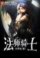 《法师骑士》作者:水得鱼