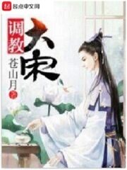 《调教大宋》作者:苍山月