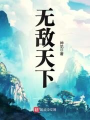 《无敌天下》作者:神见
