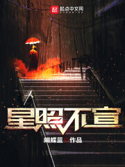 《星照不宣》作者:蝴蝶蓝