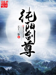 《纯阳剑尊》作者:一任往来