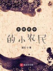 《大时代中的小农民》作者:醛石