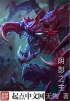 《阴影之主》作者：无物