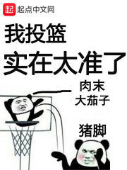 《我投篮实在太准了》作者:肉末大茄子