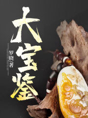 《大宝鉴》作者:罗晓