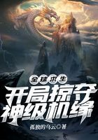 《全球求生:开局掠夺神级机缘》作者:孤独的乌云