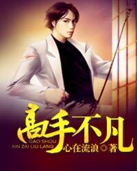 《高手不凡》作者:心在流浪