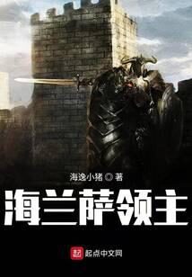 《海兰萨领主》作者:海逸小猪