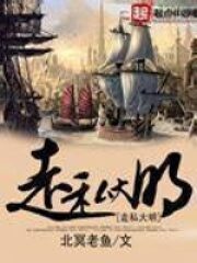 《走私大明》作者:北冥老鱼