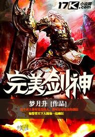 《完美剑神》作者:梦月升