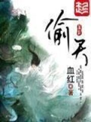 《偷天》作者:血红