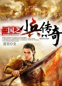 《三国之小兵传奇》作者:流云
