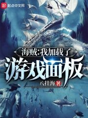 《海贼:我加载了游戏面板》作者:信息交流
