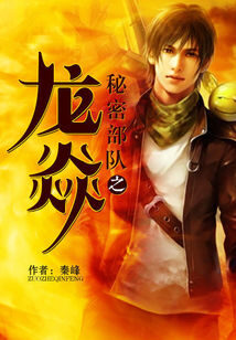 《秘密部队之龙焱》作者:孤狼啸月