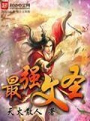 《最强文圣》作者:天火散人