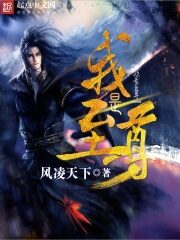 《我是至尊》作者:风凌天下