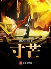 《寸芒》作者:我吃西红柿